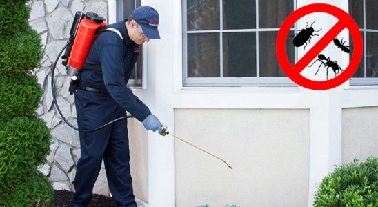 Kınık Böcek İlaçlama böcek ilaçlama ve haşere kontrolü — ilaclama-tr.com